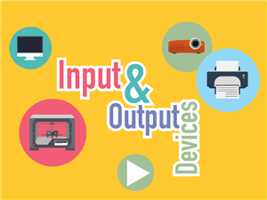 Input & Output 